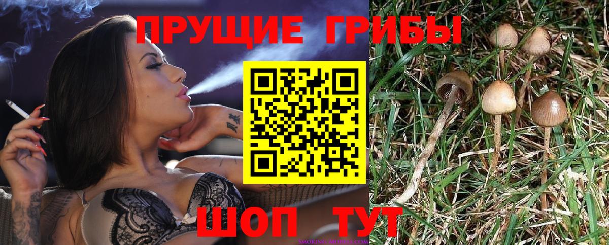 Елец  Галлюциногенные грибы прущие грибы  Вход с VPN 
